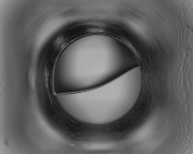 X0000097751151200803070836