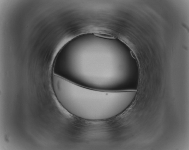 X0000097751152200803070836