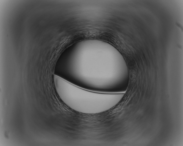 X0000097751153200803070835