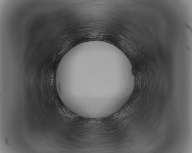 X0000097751154200803070835