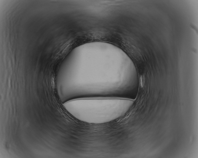 X0000097751155200803070835