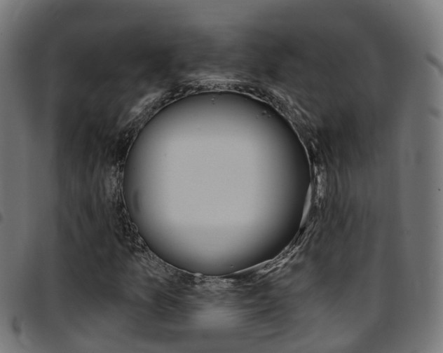 X0000097751157200803070835
