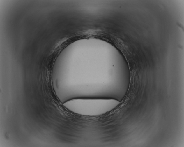 X0000097751158200803070835