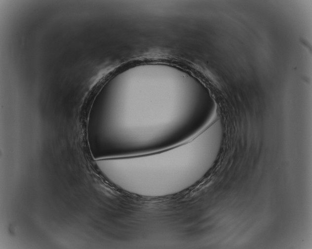 X0000097751160200803070835