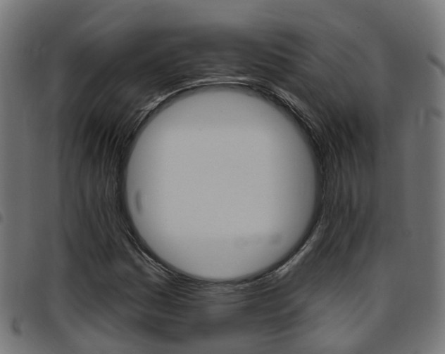 X0000097751161200803070835