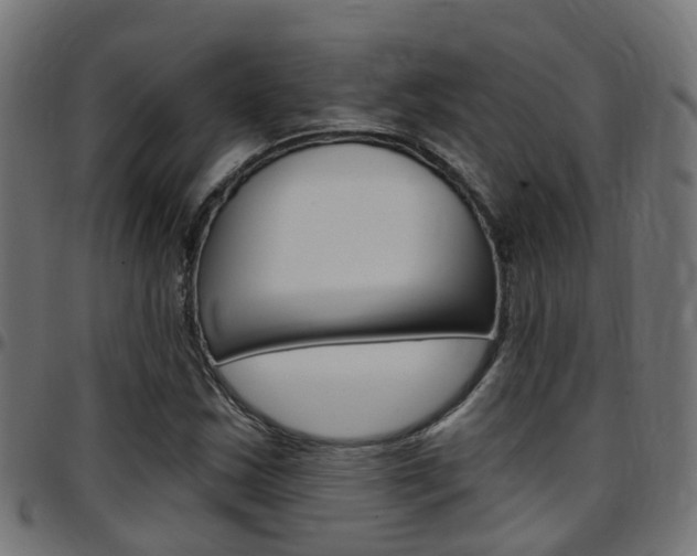 X0000097751163200803070835