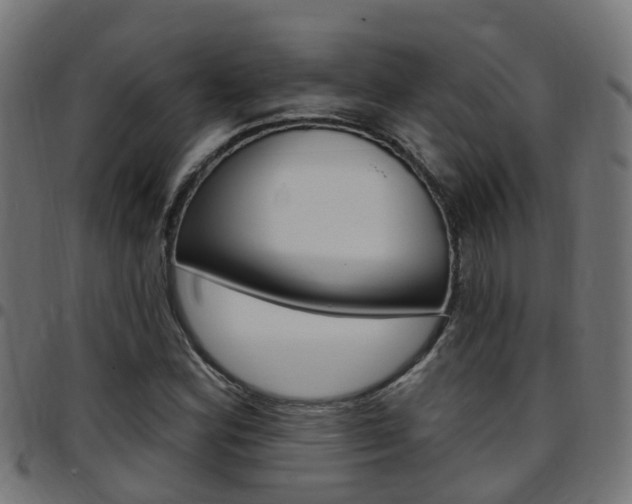 X0000097751164200803070835