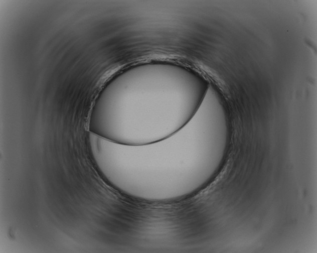 X0000097751169200803070835