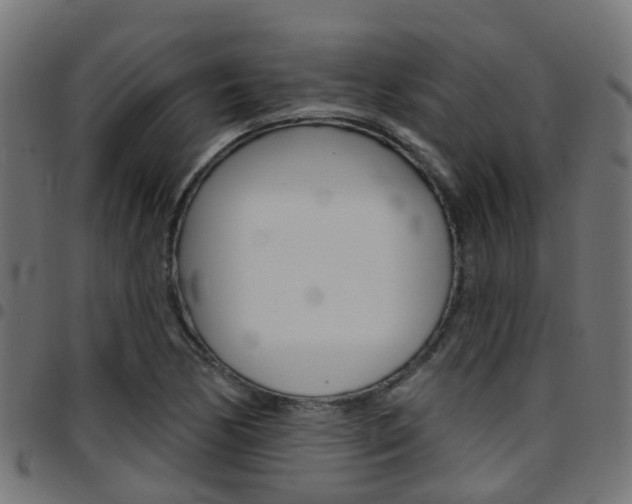 X0000097751170200803070835