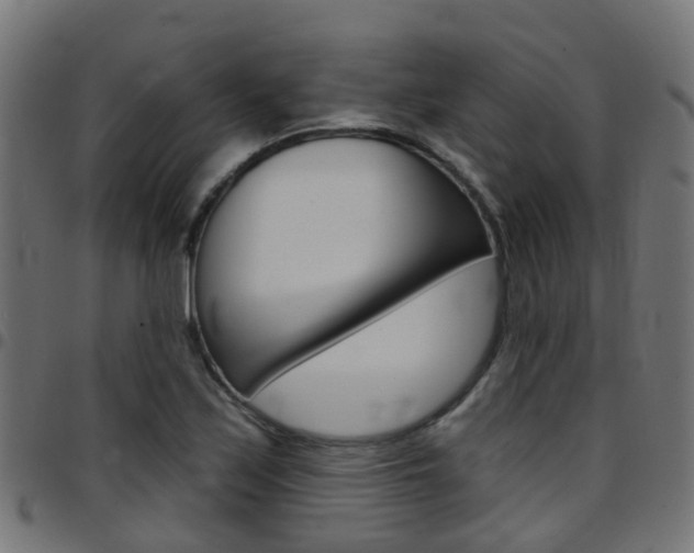X0000097751171200803070835
