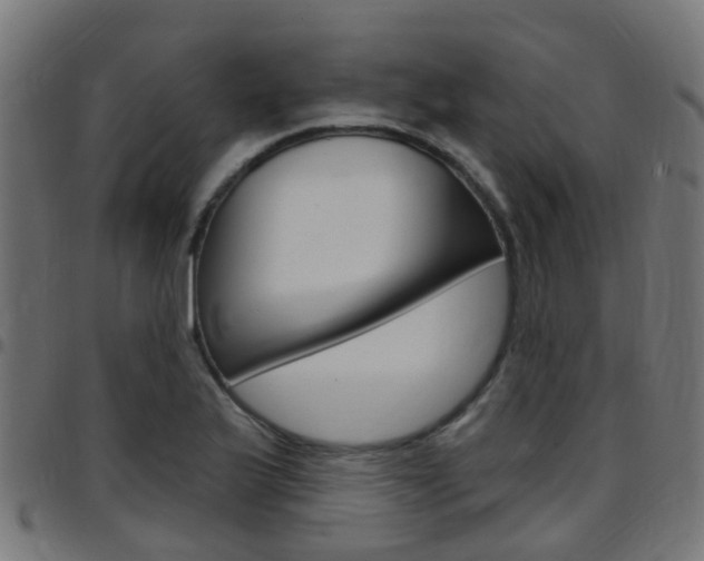 X0000097751175200803070835