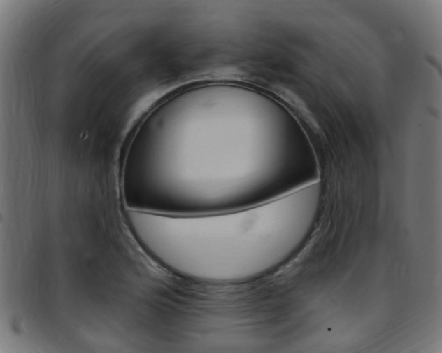 X0000097751176200803070835