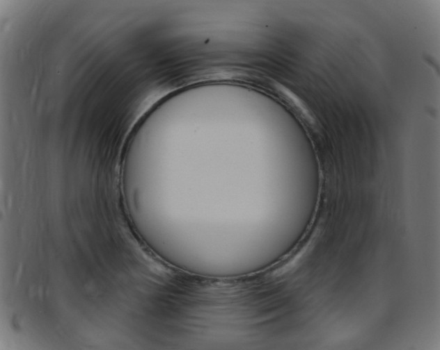 X0000097751178200803070835