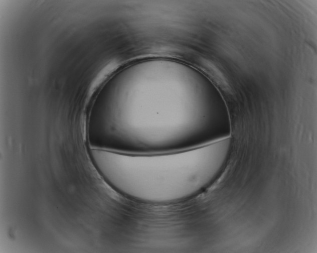 X0000097751180200803070835
