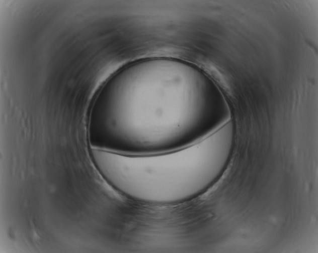 X0000097751184200803070835