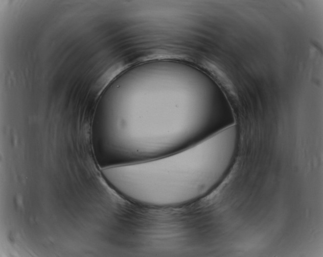 X0000097751185200803070835