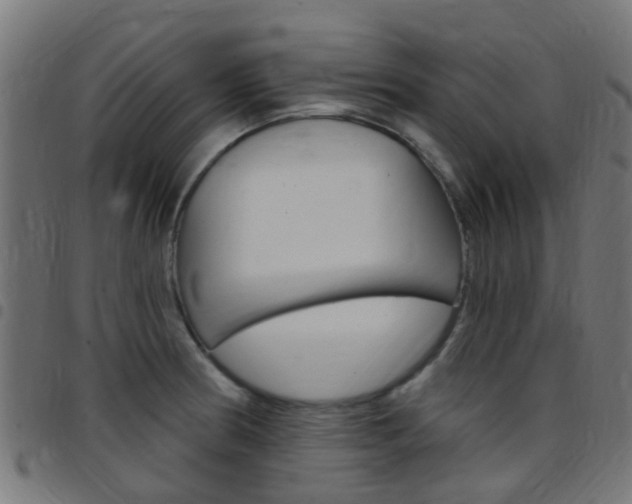 X0000097751186200803070835
