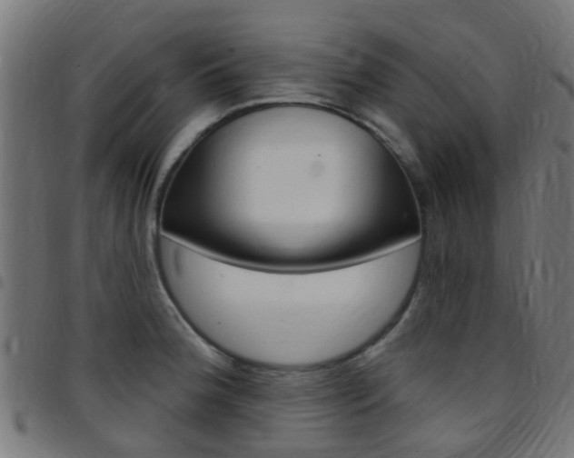 X0000097751188200803070835