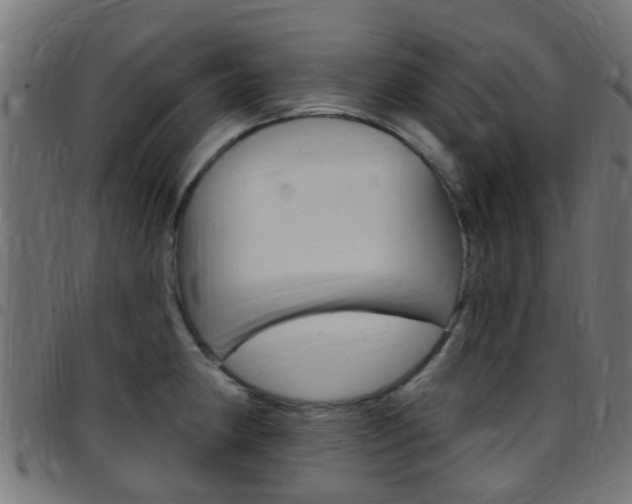 X0000097751190200803070835
