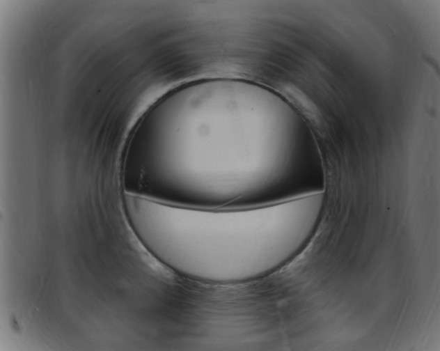 X0000097751192200803070835