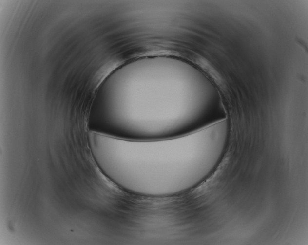 X0000097751193200803070835