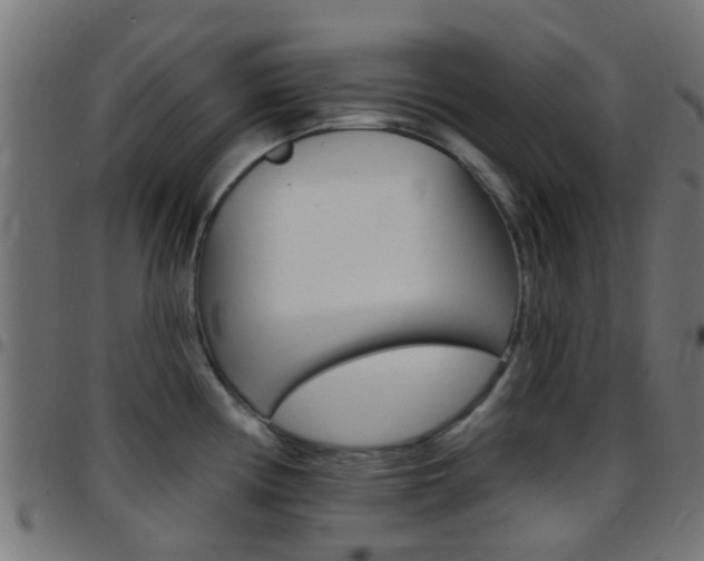 X0000097751194200803070835