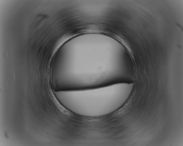 X0000097751195200803070835