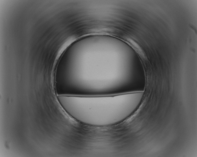 X0000097751196200803070835