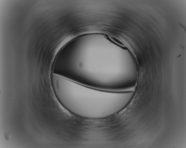X0000097751197200803070835