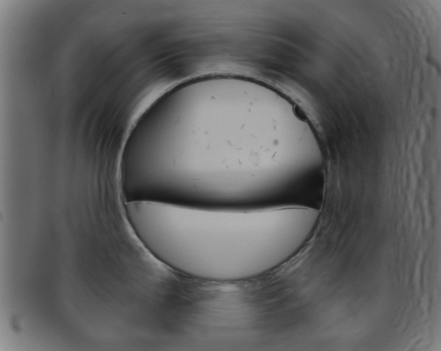 X0000097751199200803070834