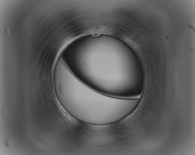 X0000097751200200803070834