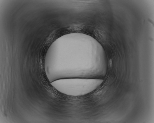 X0000097751203200803070834