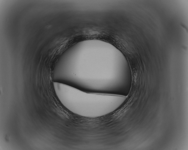 X0000097751204200803070834