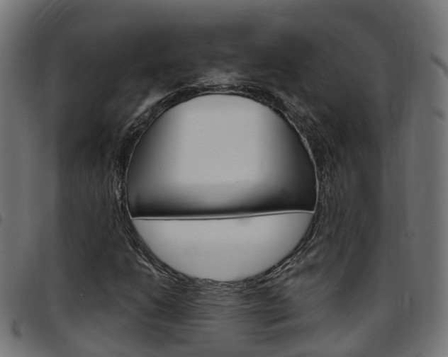 X0000097751206200803070834