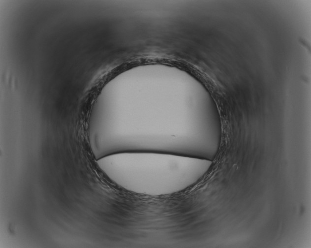X0000097751207200803070834