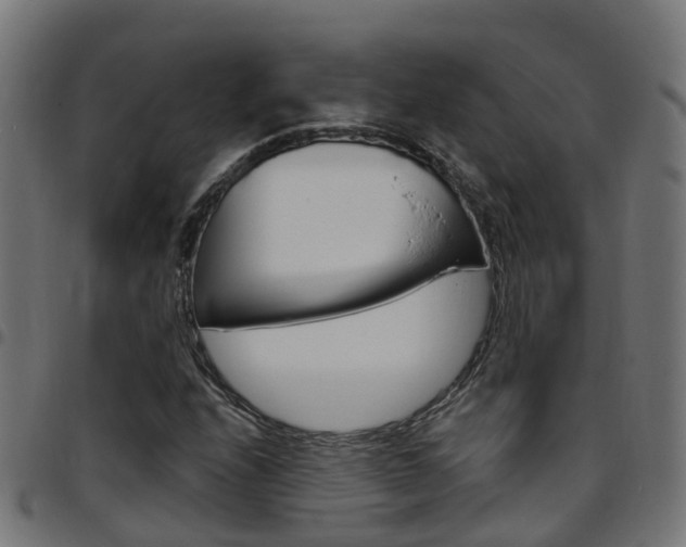 X0000097751208200803070834
