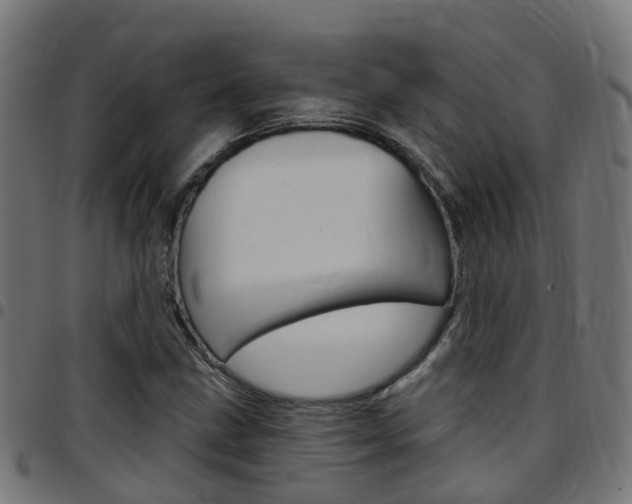 X0000097751211200803070834