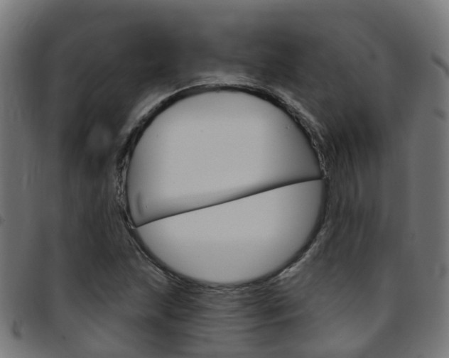 X0000097751215200803070834