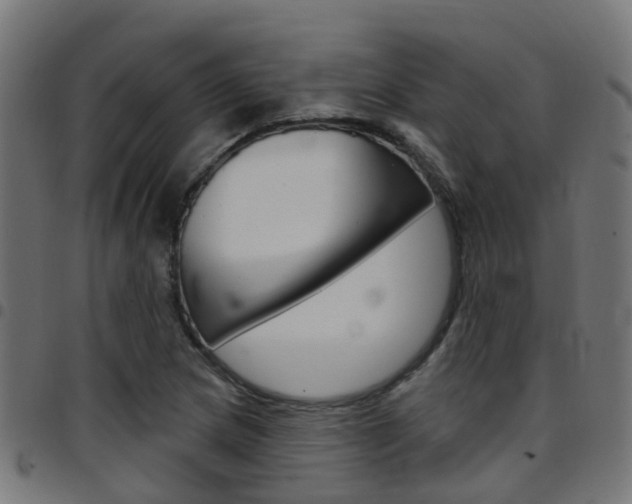 X0000097751217200803070834