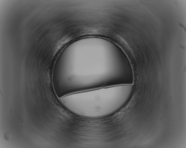 X0000097751218200803070834