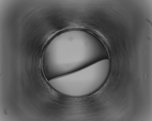 X0000097751220200803070834