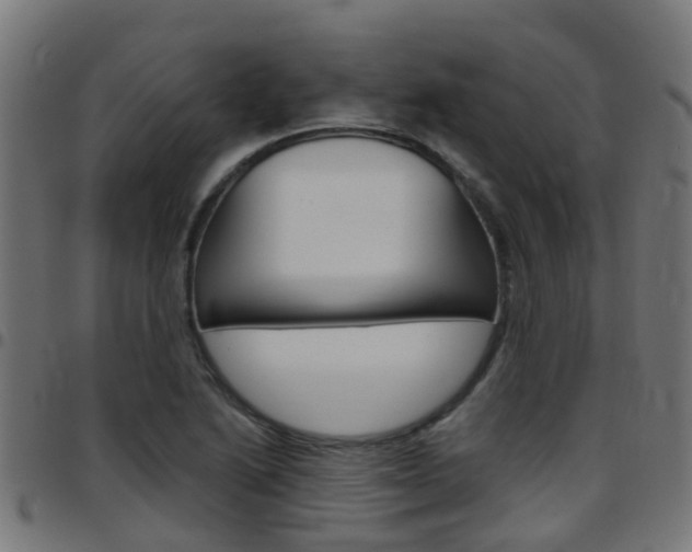 X0000097751222200803070834