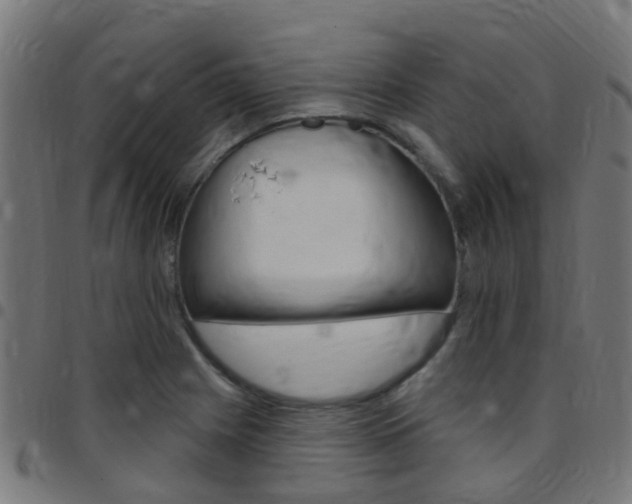 X0000097751225200803070834