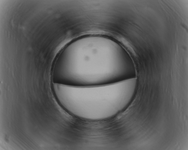 X0000097751229200803070834