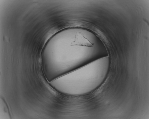 X0000097751234200803070834