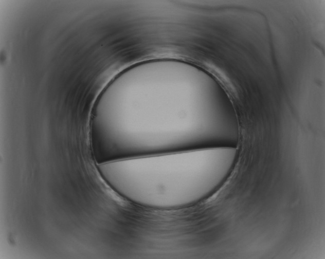X0000097751236200803070834