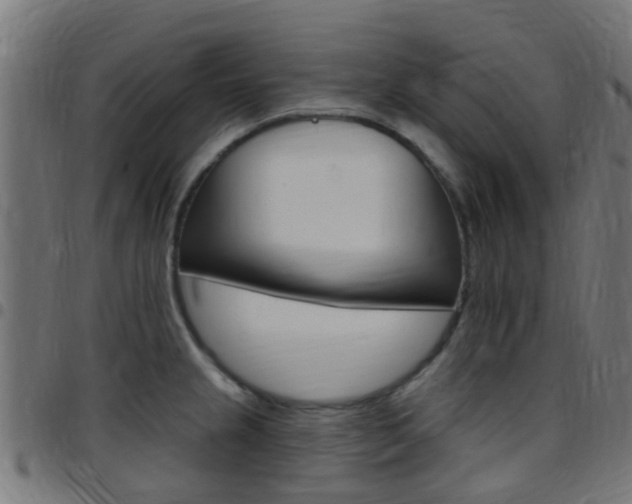 X0000097751237200803070834