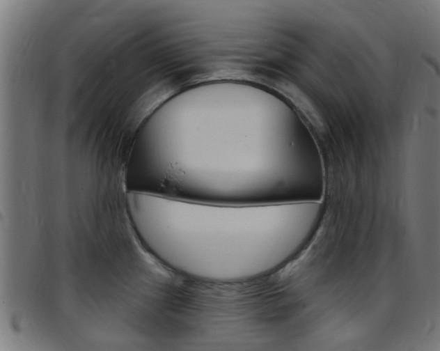 X0000097751241200803070834