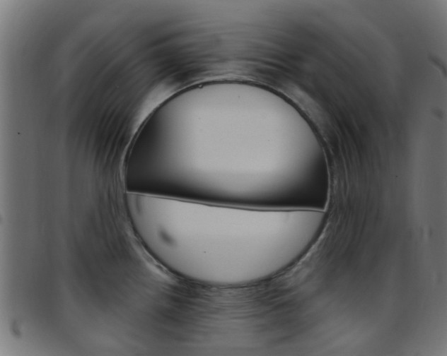 X0000097751242200803070834