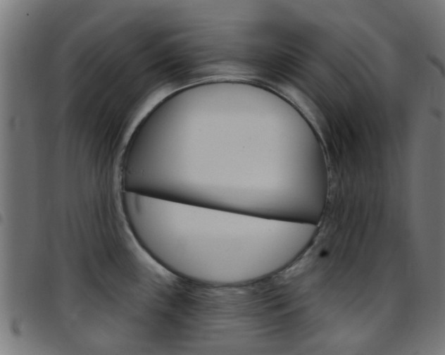 X0000097751243200803070834